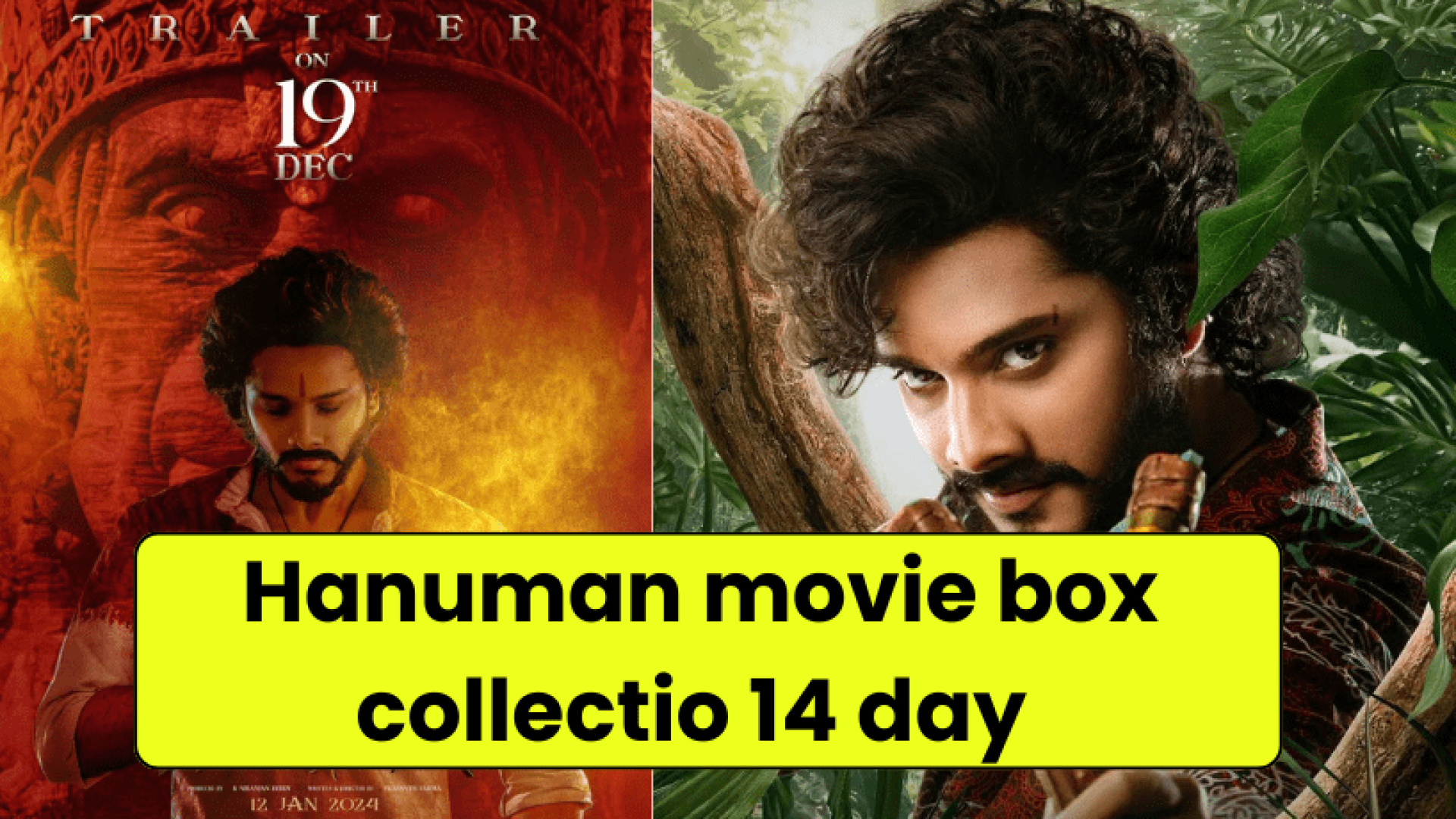 Hanuman movie box collectio 14 day