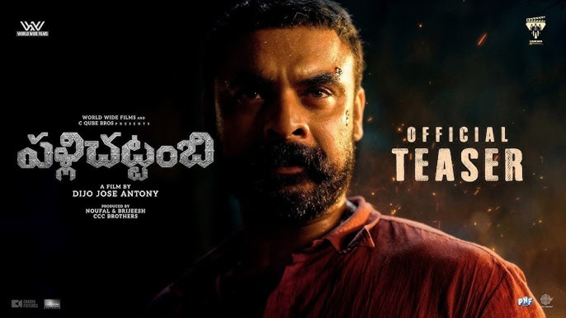 Pallichattambi Movie